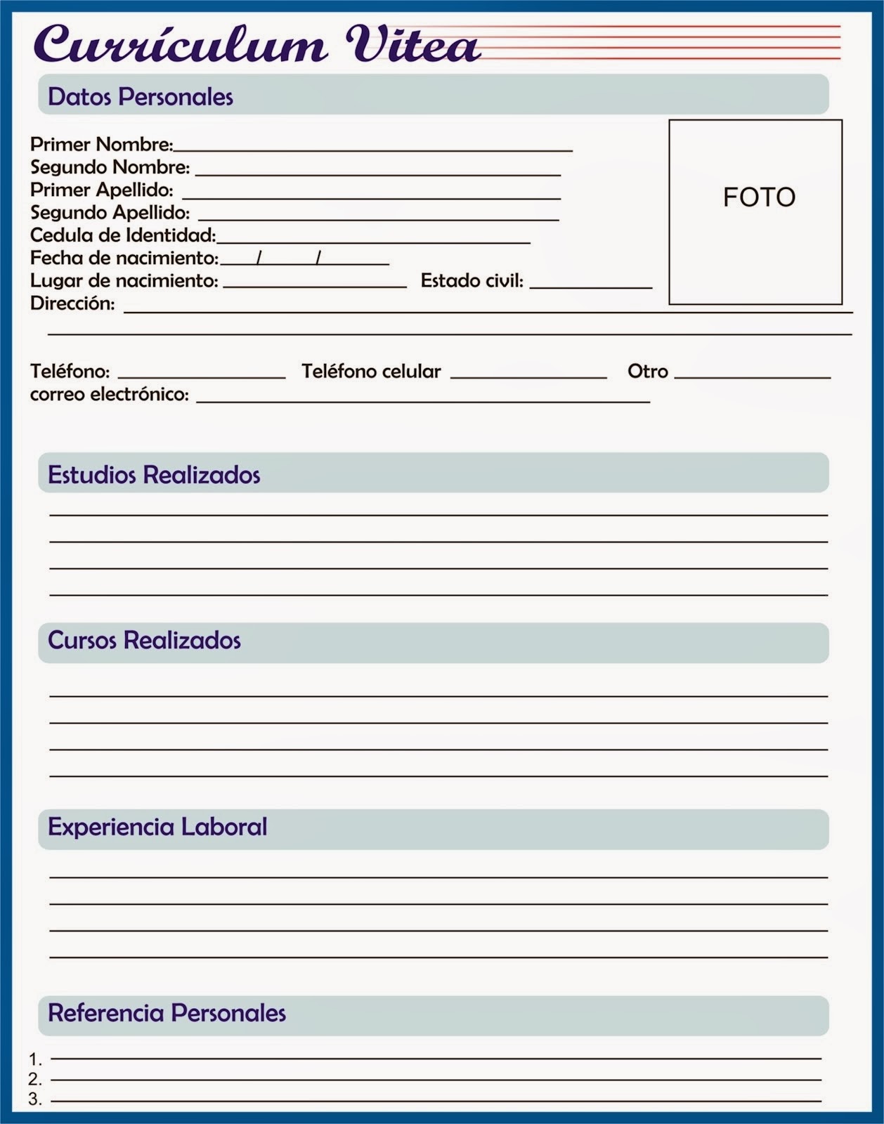 curriculum vitae formato para rellenar 2014